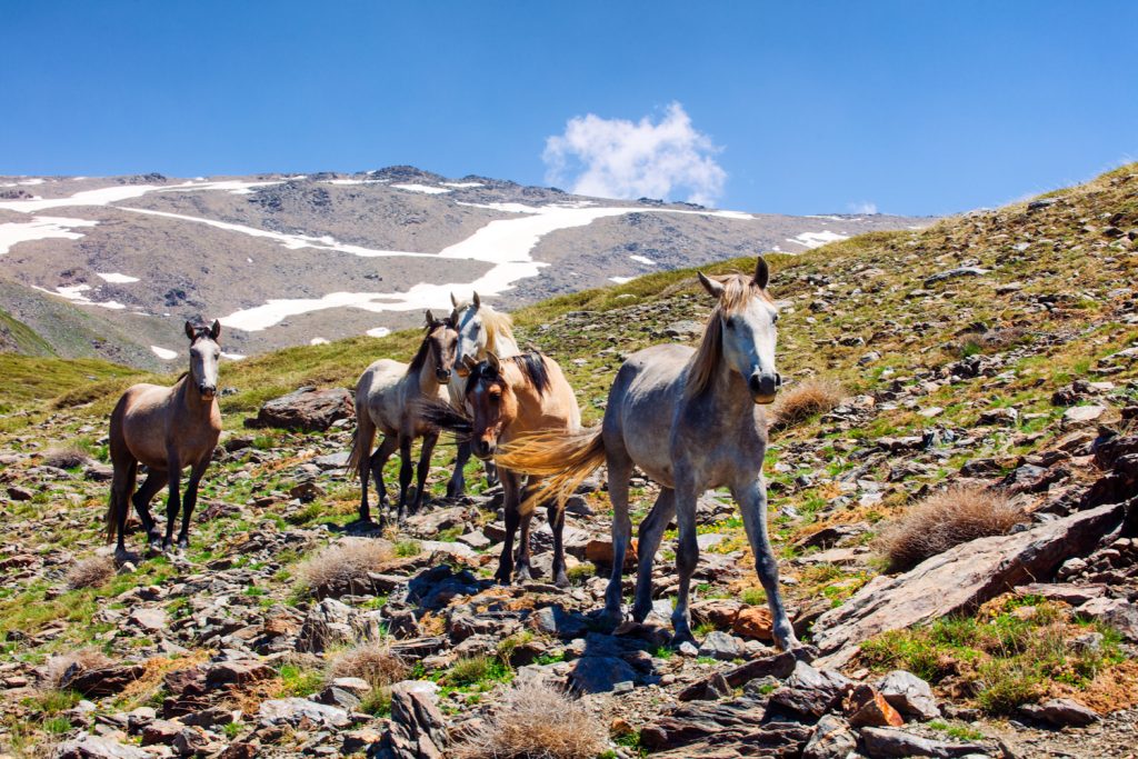 Aperture ISO and Shutter Speed