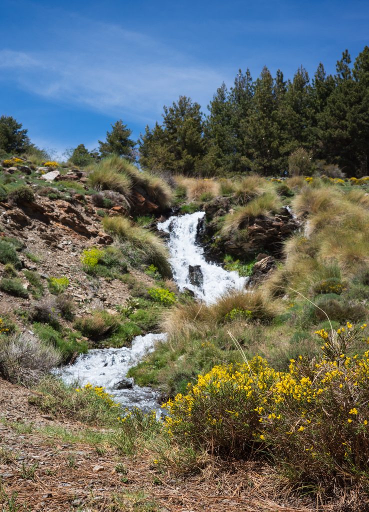 Mountain Stream flowing towards Capileira
